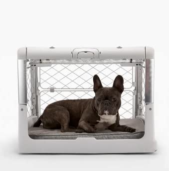 Diggs Revol Dog Crate (Collapsible Dog Crate, Portable Dog Crate, Travel Dog Crate, Dog Kennel) for Large Dogs and Puppies (Ash)