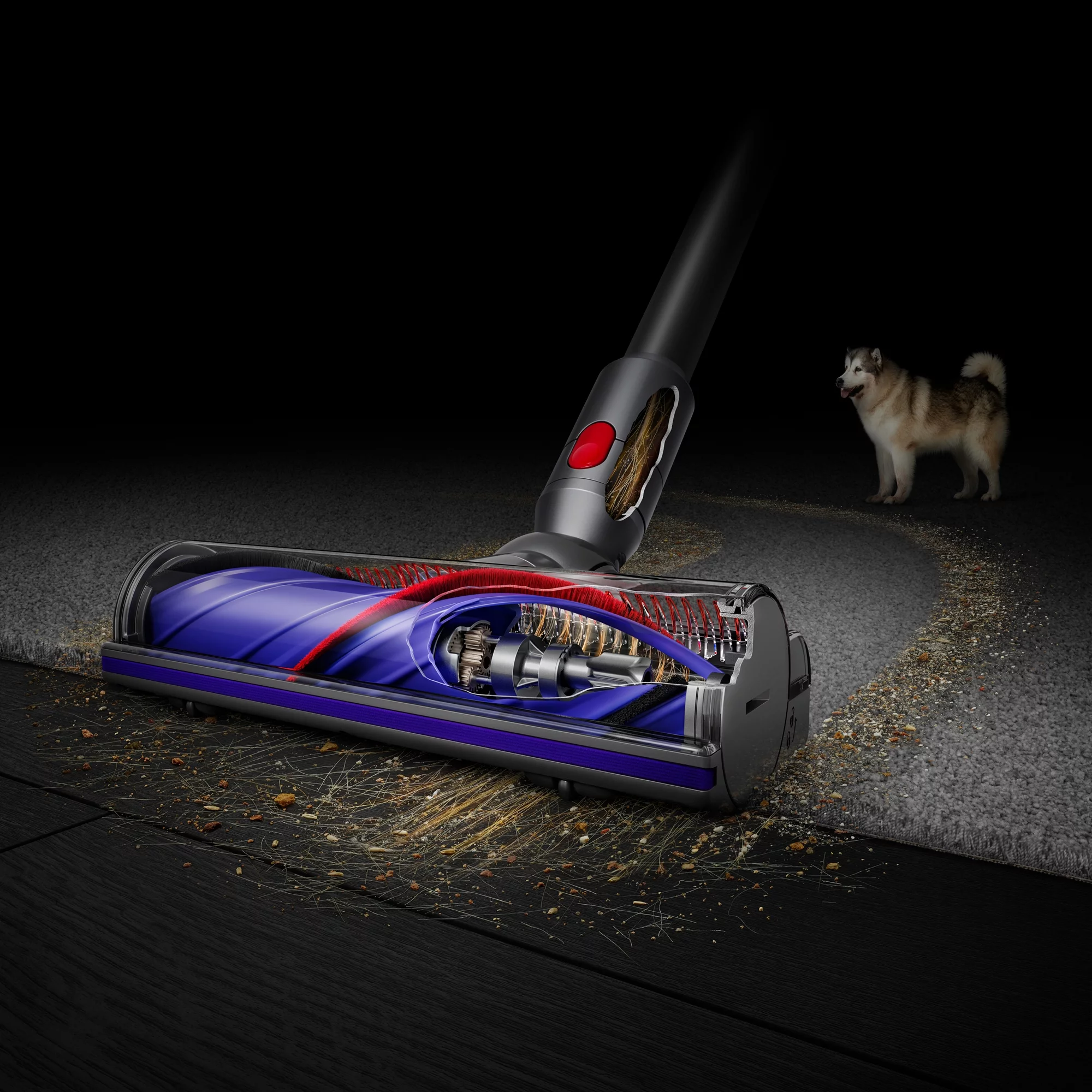 Dyson V11 Extra Cordless Vacuum Cleaner| Blue | New