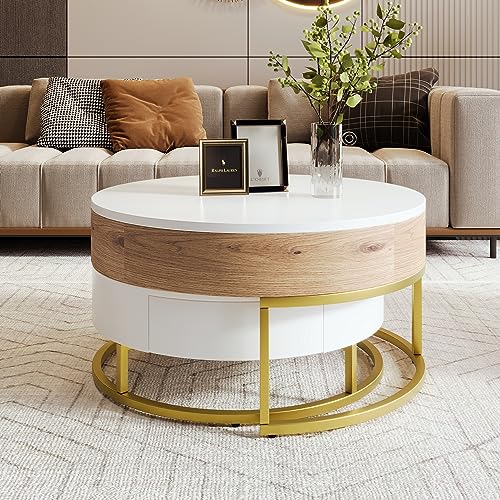 Modern Round Lift-top Nesting Coffee Tables with 2 Drawers for Living Room White & Natural