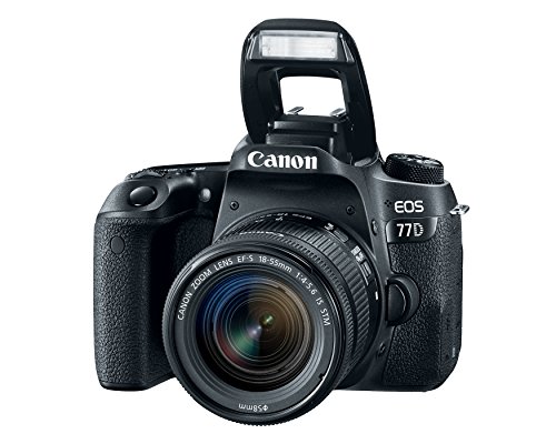 Canon Cameras US 24.2 Digital SLR Camera with 3-Inch LCD, Black (1892C001)