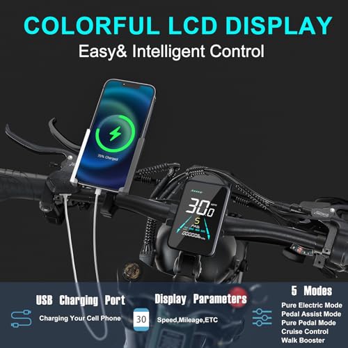 1000W/2000W Daul Motor Adults Electric Bike, 120Miles & 48V 30Ah LG Cell Battery, 26''x4.0 Inch Fat Tire Ebike, 30MPH Dual Hydraulic Disc Brakes Full Suspension, Mountain Ebikes for Men Women