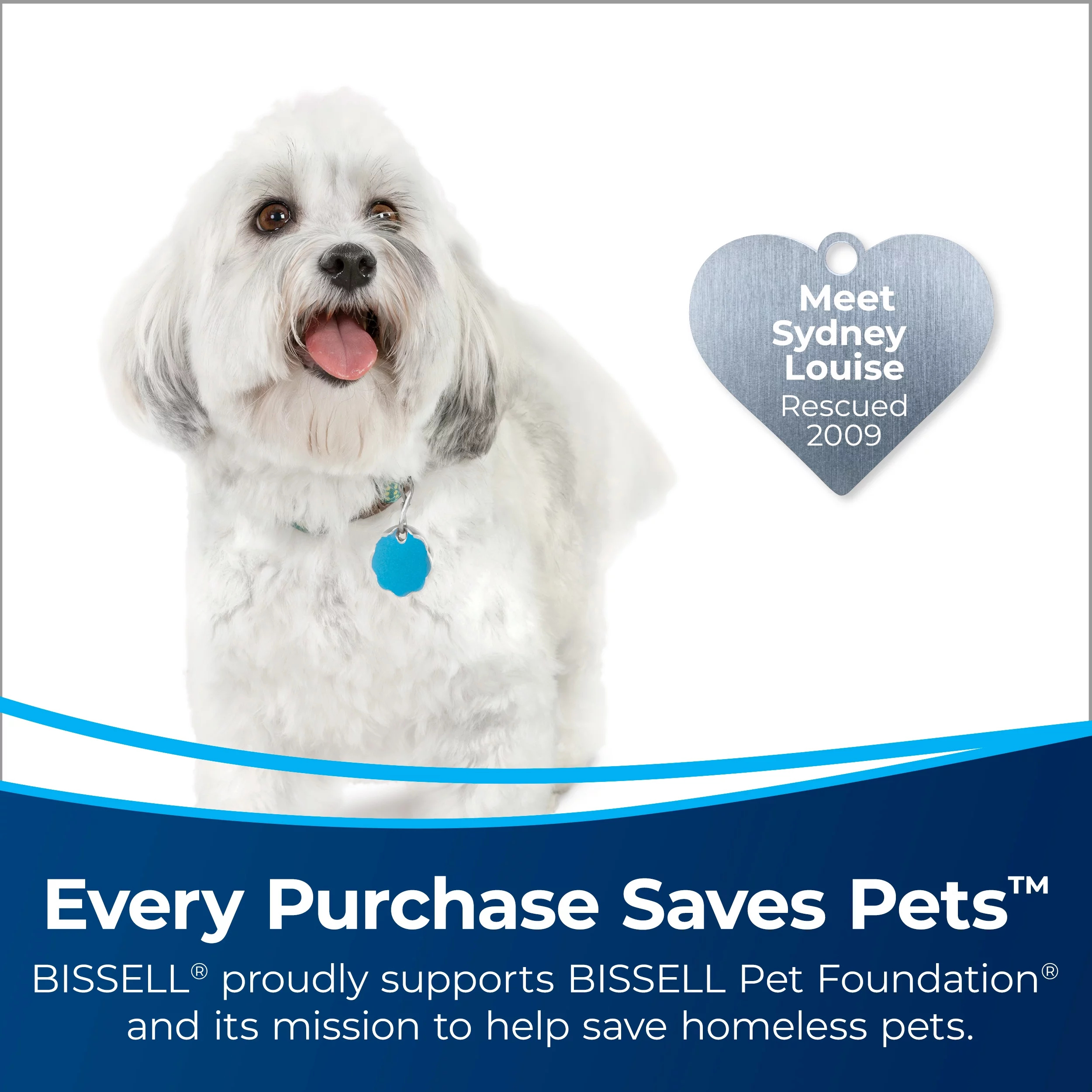 Bissell Proheat Pet Turbo Carpet Cleaner - 1799V