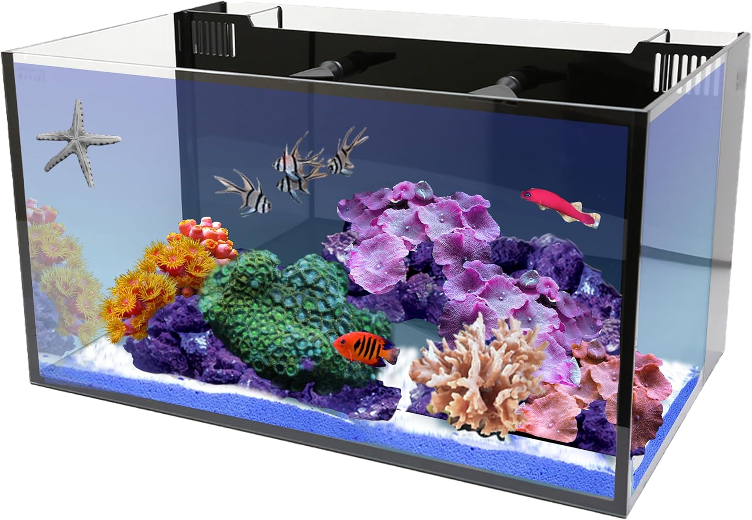Innovative Marine Nuvo Fusion 20 AIO Cube Nano (All in One) Aquarium - Item# 0315-P