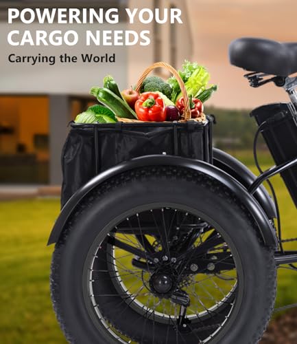 Electric Tricycle for Adults, Peak 750W/500W, Electric Trike, 20"x4.0" Folding Fat Tire 3 Wheel Electric Trike, Max 20MPH,with Large Basket and 48V 15/13 Ah Removable Battery