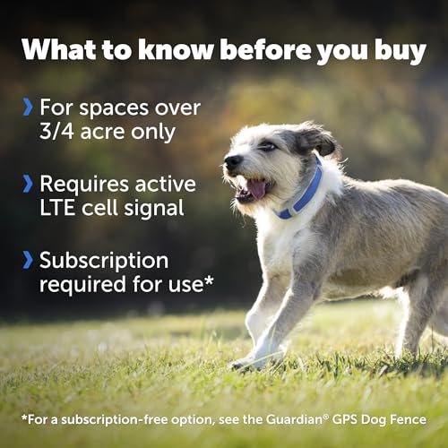 PetSafe Guardian GPS + Tracking Dog Fence Collar Pet Safe GPS Dog Collar Fence System, with App Waterproof Rechargeable Collar, Tracking for Dogs (Blue, Grey)