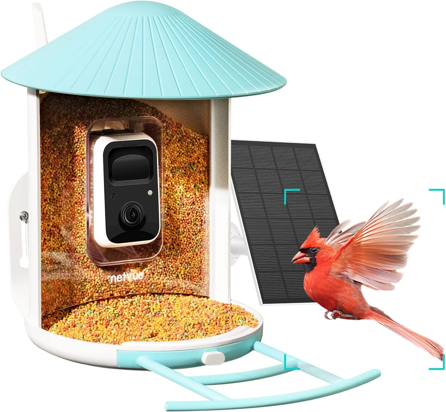 NETVUE Birdfy Solar Camera with Humming Bird Feeder Extension Perch