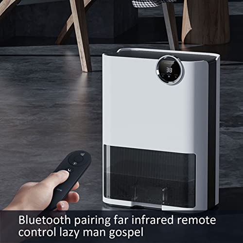 Room Dehumidifiers for Bedroom, Basement Dehumidifier with Drain Hose, Tank Capacity 67 Oz, Dehumidifiers for Home Small Room