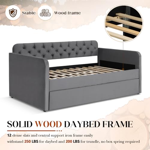 Antetek Twin Daybed with Trundle, Upholstered Velvet Daybed w/Pull Out Trundle Bed, USB Ports, Button Tufted Day Bed Frame for Living Room, Apartment, No Box Spring Needed, Beige