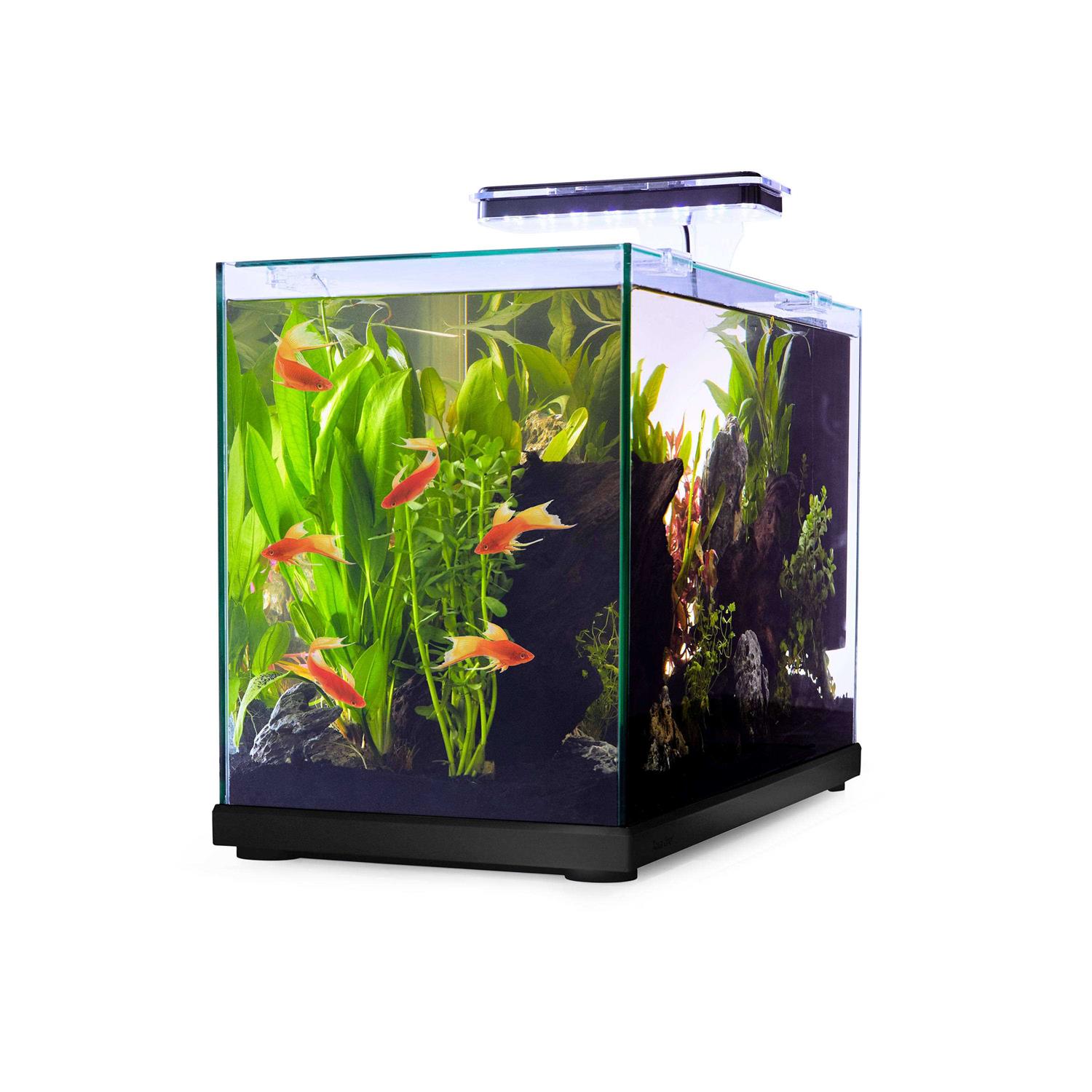 Imagitarium Glass Versa Aquarium - Pet Supplies online store