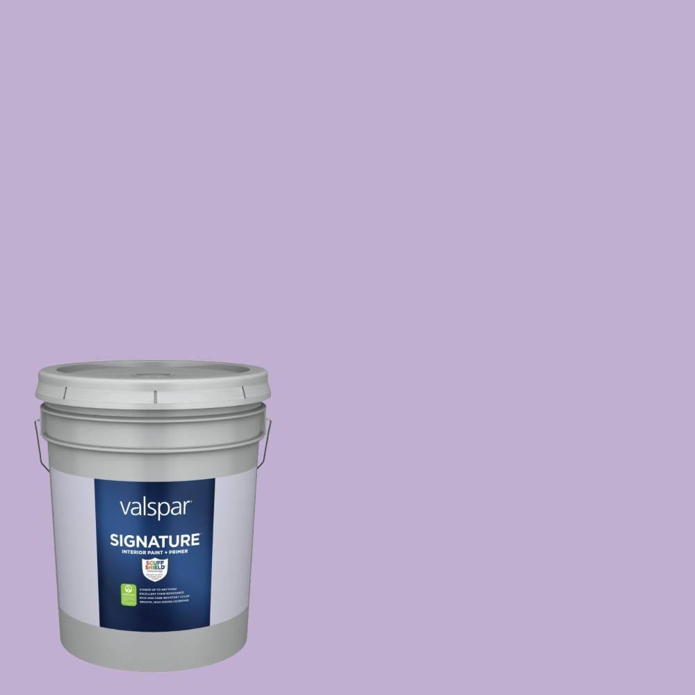 Valspar Signature Satin Magical Hgsw1425 Interior Paint (5-Gallon) | HGSW1425-773966