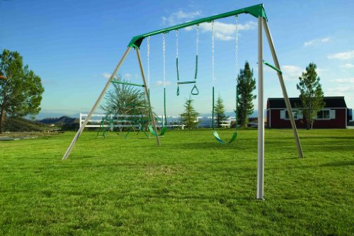 Lifetime Heavy Duty A-Frame Metal Swing Set