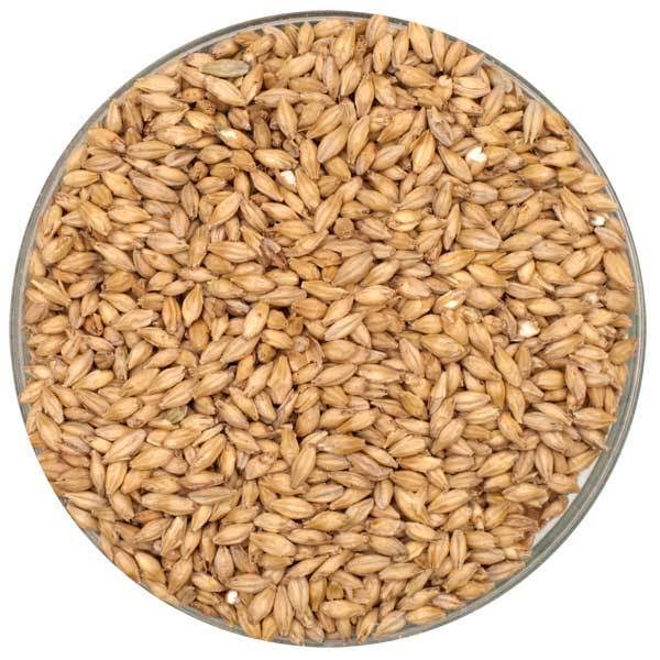 Rahr 2-Row Malt - Bulk, 55 lb. Sack - Unmilled