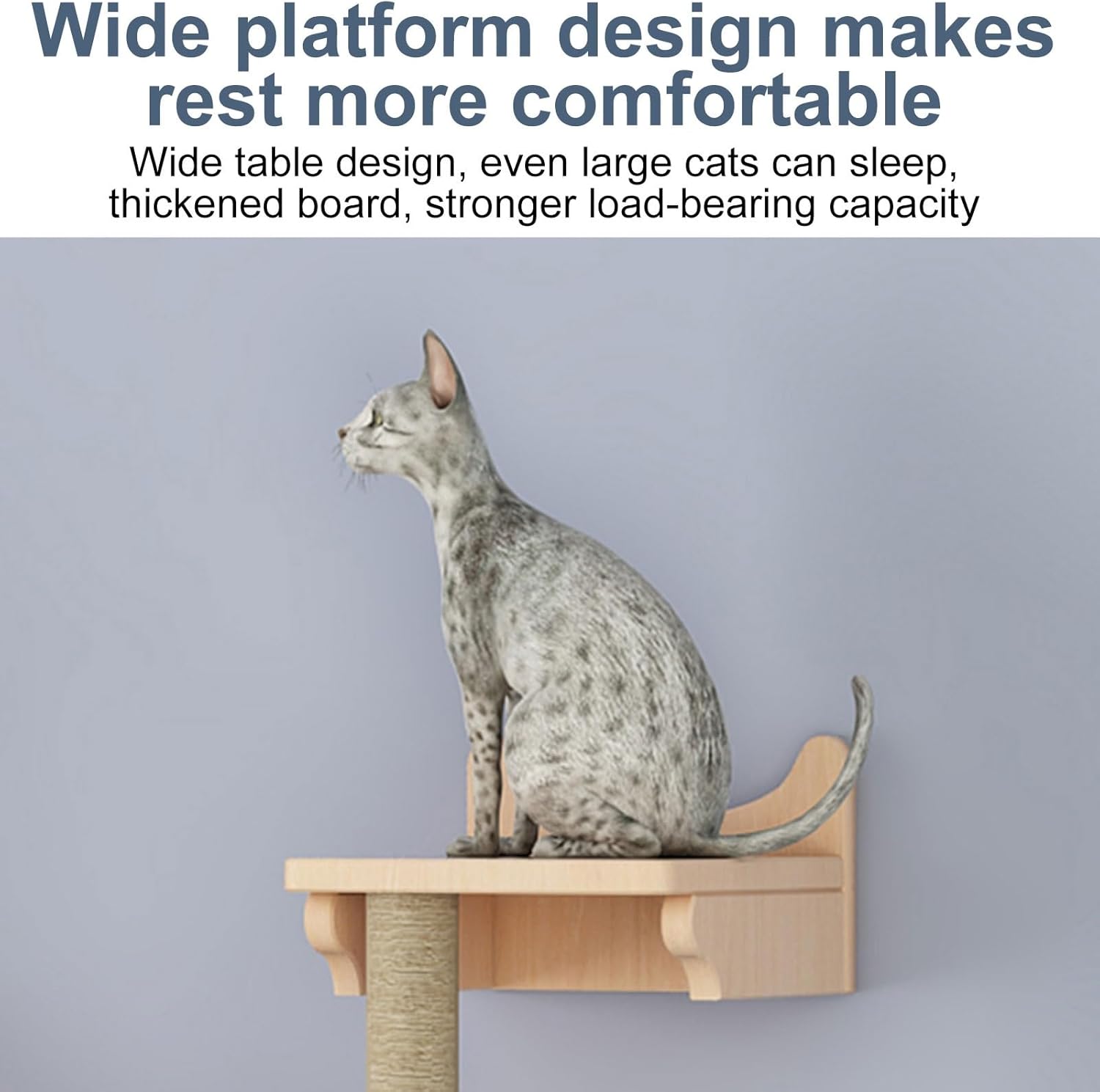 Cat Shelves for Wall Large Cats Set - Cat Tree Wall Mounted with Hexagon Shelf - Cat Climbing Frame - Wall Mounted Cat Furniture