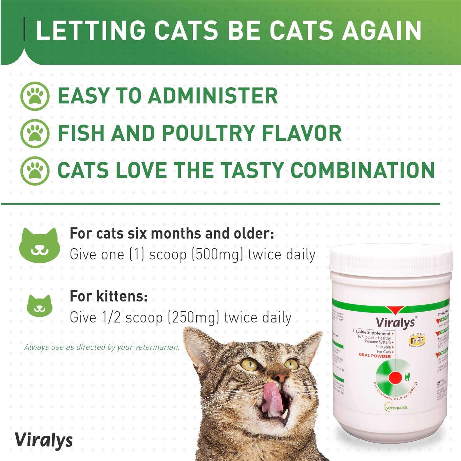 Vetoquinol Viralys Powder - Pet Supplies online store