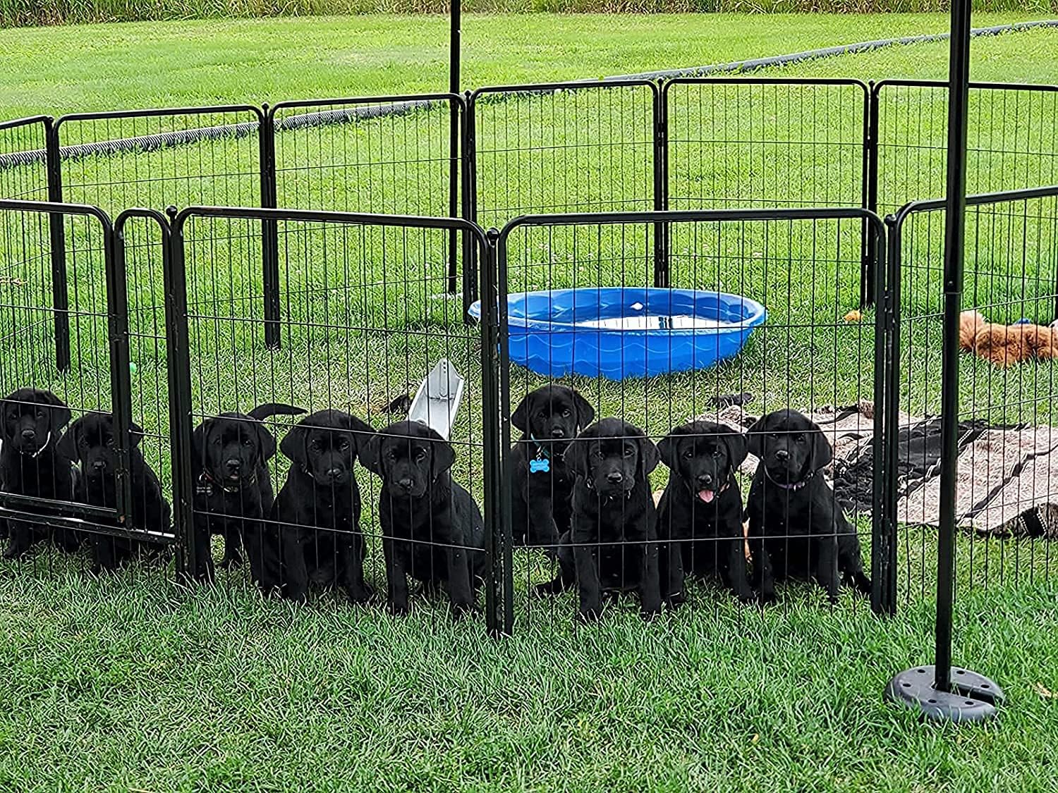 FXW Dog Playpen, 8/16/24/32 Panels Dog Pen Indoor Outdoor 32-Inch Height Puppy Playpen Pet Fence Gate with Doors for Large/Medium/Small Dogs, Exercise Pen for Yard,Camping, RV