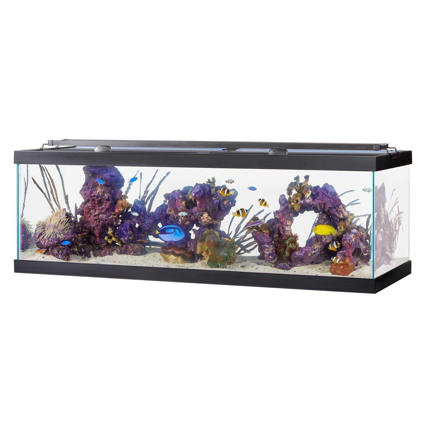 Aqueon Standard Glass Rectangle Aquarium - Pet Supplies online store