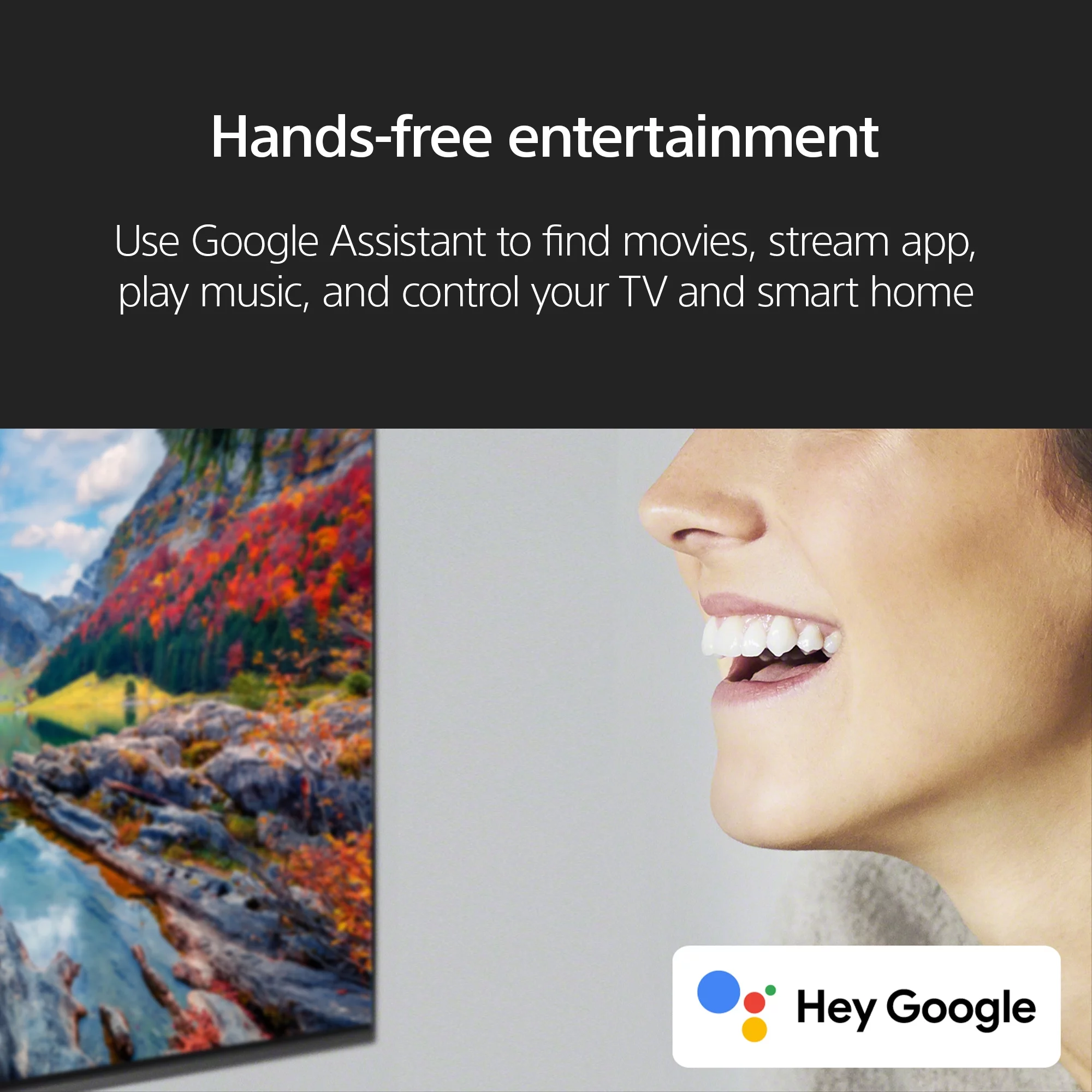 Sony 55” Class BRAVIA XR A95L QD-OLED 4K HDR Smart TV with Google TV XR55A95L -2023 Model