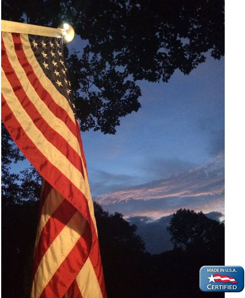Annin & Co Model 2460 American Flag Nylon SolarGuard NYL-Glo, 3x5 ft, 100% Made in USA with Sewn Stripes, Embroidered Stars and Brass Grommets