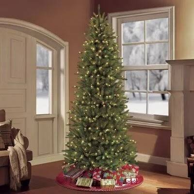 Pre-Lit Slim Fraser Green Fir Artificial Christmas Tree with Clear/White Lights Andover Mills Size: 9&