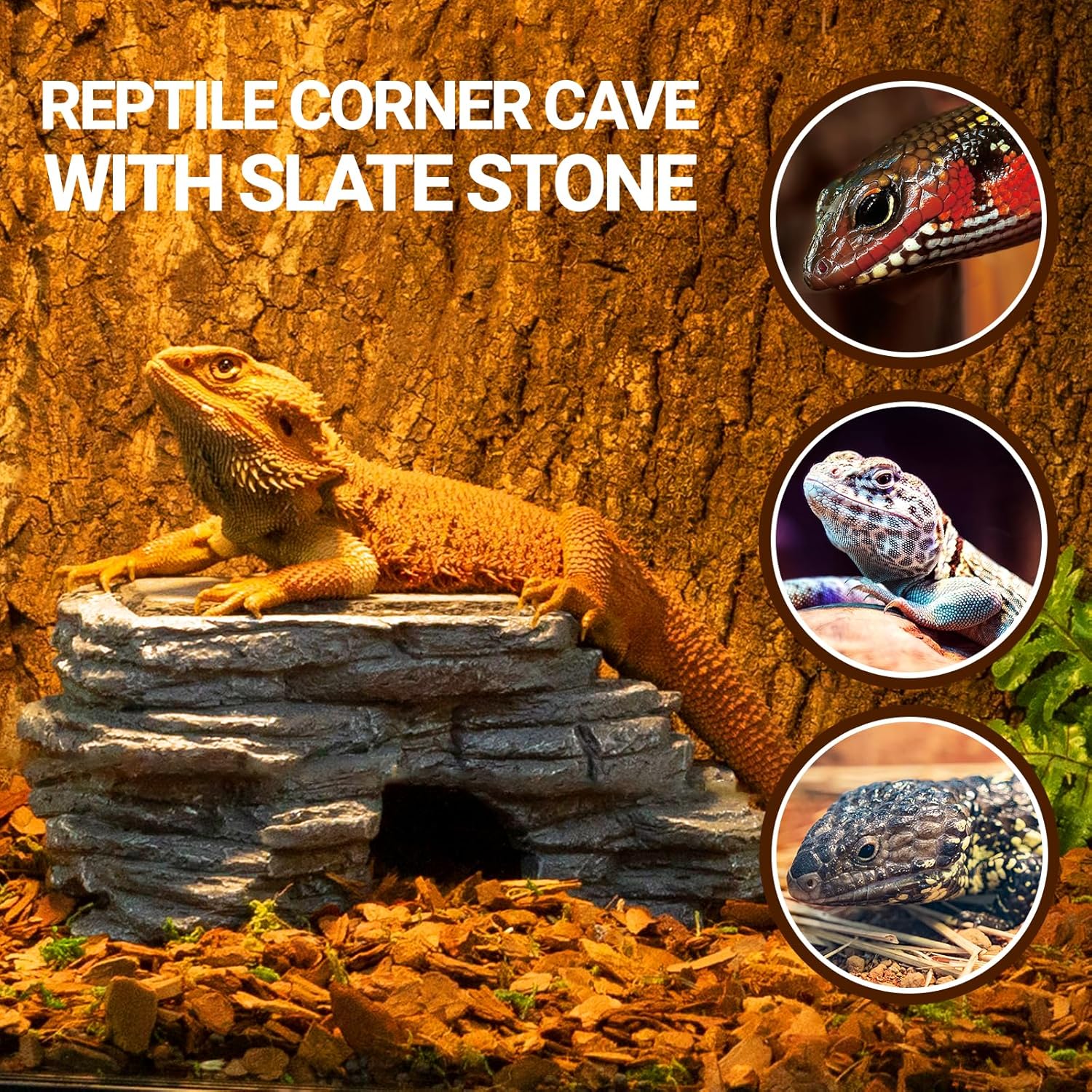 REPTI ZOO 68 Gallon PVC Reptile Terrarium 48x18x18” and Bearded Dragon Basking Platform