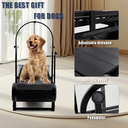 New Dog Treadmill for 2025, Non-Electric Treadmill for Dogs with Step Counter, Adjustable Incline & Brake, Dog Treadmills Suitable for Indoor and Outdoor, Supports Up to 300 lbs