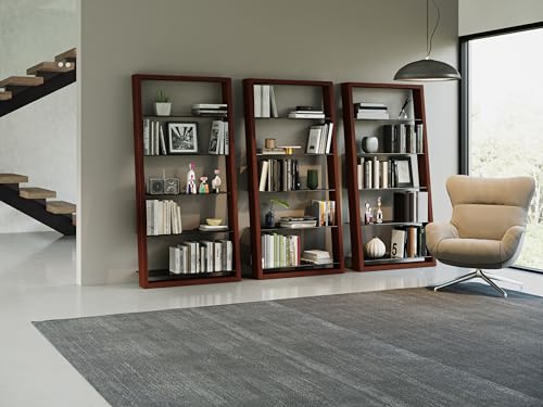 BDI Furniture Eileen 5166-74" x 34.25'' Leaning Shelf for Living Room, Family Room or Office with 5 Polished Tempered Glass Shelves, Charcoal Stained Ash