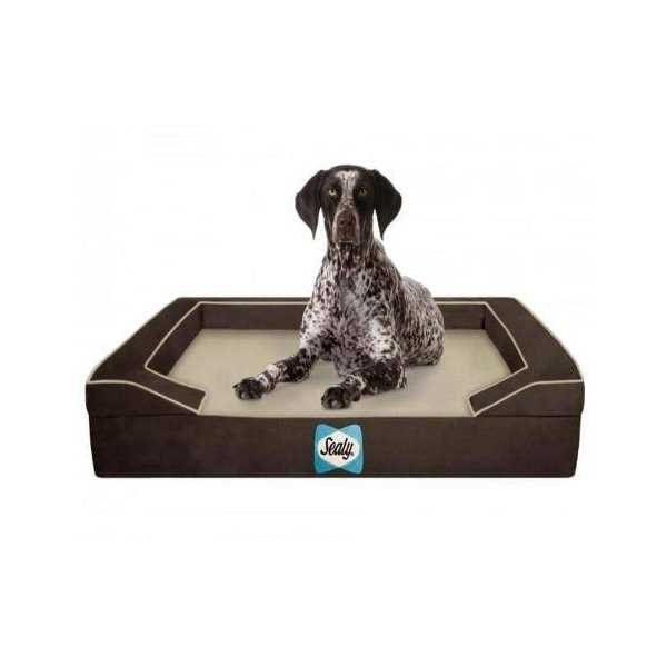 Sealy Lux Orthopedic Memory Foam Dog Bed - Pet Supplies online store