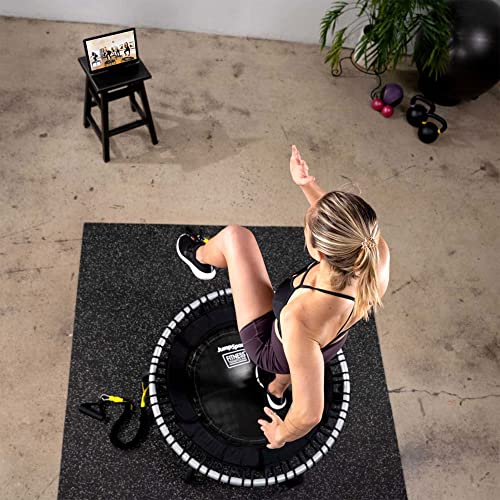 JumpSport 250 in-Home Cardio Fitness Rebounder, 39-inch | Mini Trampoline with Arched-Legged & Videos Included | Safe, Sturdy and Low-Impact | DVD and Free 60-Day Streaming
