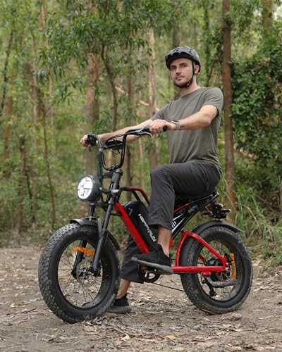 2000W Electric Bike for Adults, 48V 25Ah Removable Battery, Up to 35MPH and 75+ Miles Range, 7-Speed Transmission, 20" Fat Tires Ebike, 3-Pedal-Assist Levels
