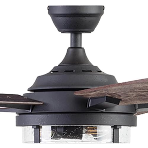 Prominence Home Freyr, 52 Inch Indoor Outdoor LED Ceiling Fan with Light, Remote Control, Dual Mounting Options, 5 Dual Finish Blades, Reversible Motor - 51484-01 (Textured Black)