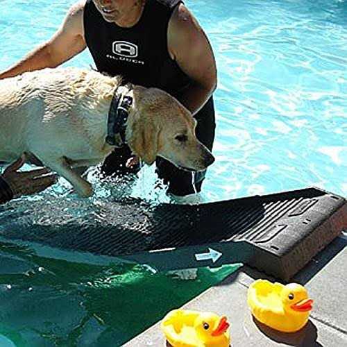 PetStep Pool Ramp For Dogs - Pet Supplies online store