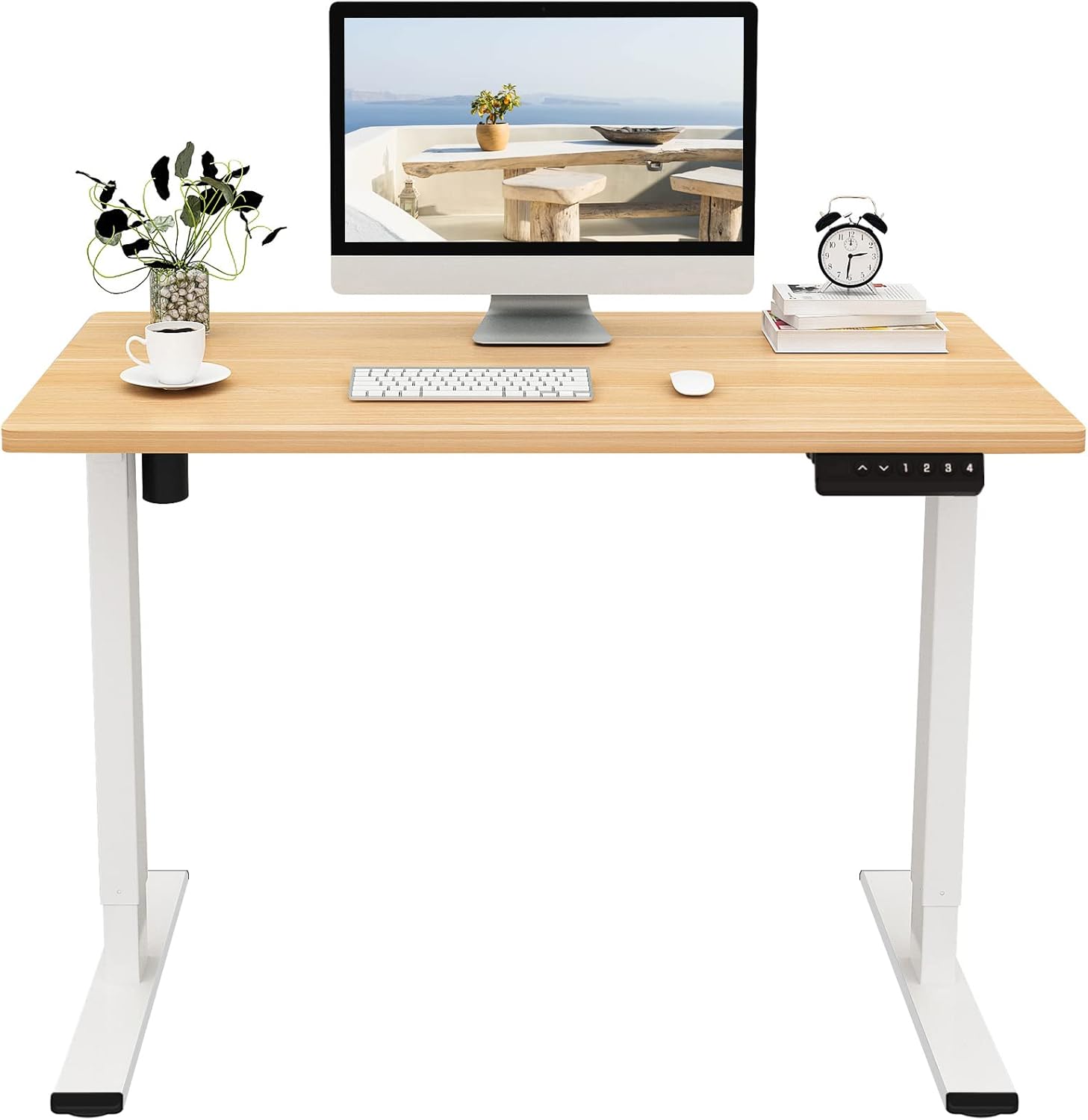 Flexispot Quick Install Standing Desk Electric Height Adjustable Desk for Home Office 48 x 24 Inches Sit Stand Desk Whole Piece Desk Board with Memory (48x24 w/Memory Key, Black)