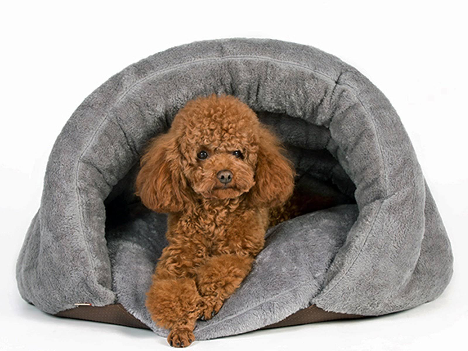 Pls Pet Birdsong The Original Cuddle Pouch Pet Bed (Medium), Dog Cave, Covered Hooded