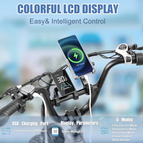 DAMSON Electric Bike for Adults 750W,48V 31.5AH Long-Range Adult Electric Bicycles, 20" Fat Tire Full Suspension Ebike, 25MPH Beach Mountain E Bike with Dual Disc Brakes,118Miles Range