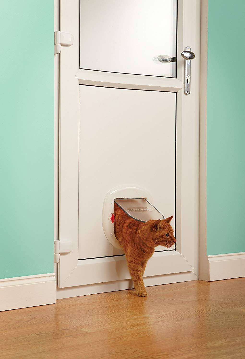Staywell Big Cat/Small Dog Pet Door - White