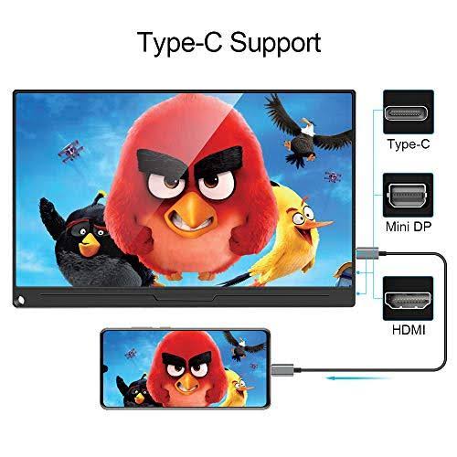 Portable Monitor, Upgraded 17.3 inch IPS HDR 100% sRGB 1920x1080 FHD Eye Care Screen USB C Gaming Monitor, Dual Speaker Computer