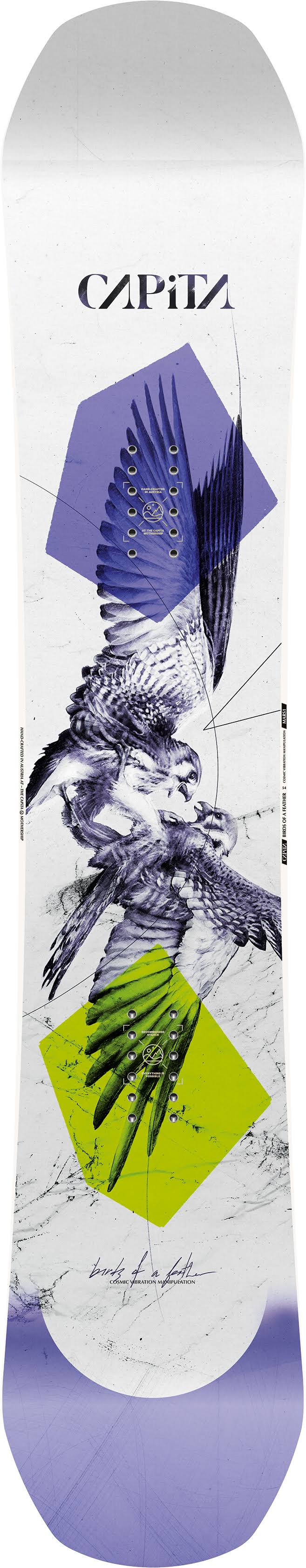 Capita Birds of A Feather Snowboard 2022 154