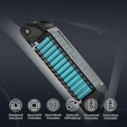 48V Ebike Battery, 20Ah Electric Bicycle Lithium LGCell Battery for Bafang Ebikeling AW Ancheer Voilamart and Other Motors from 0 to 1500W, with Base and Charger and Waterproof Cover, Black