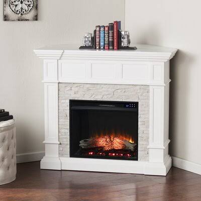 Anayanci Electric Fireplace Symple Stuff Finish: Fresh Oak