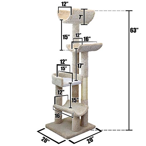 New Cat Condos 190121-Brown Cat Climbing Tree