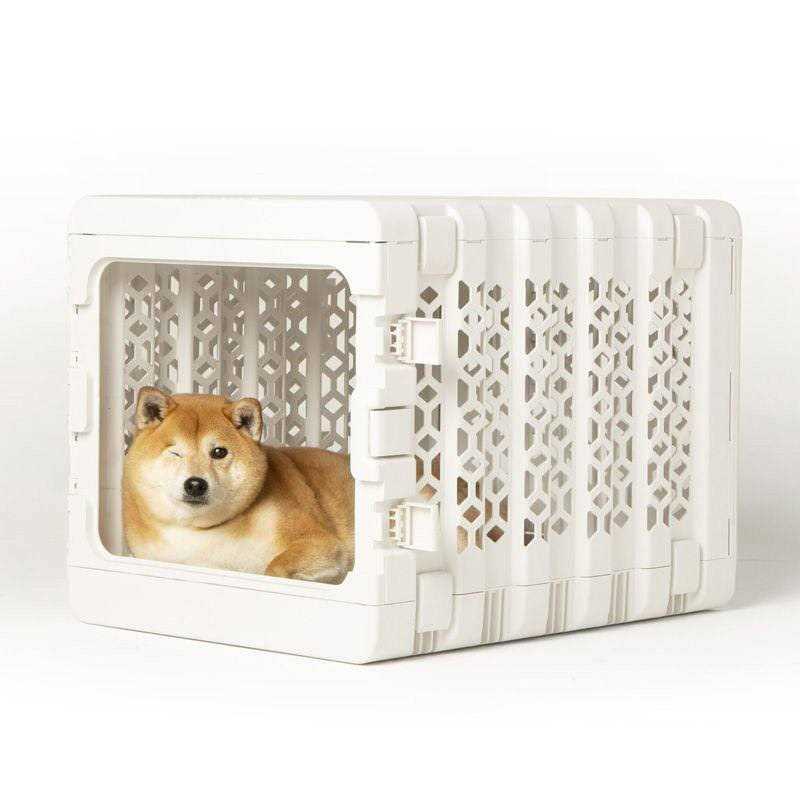 KindTail PAWD Collapsible Dog &amp; Cat Crate - Pet Supplies online store