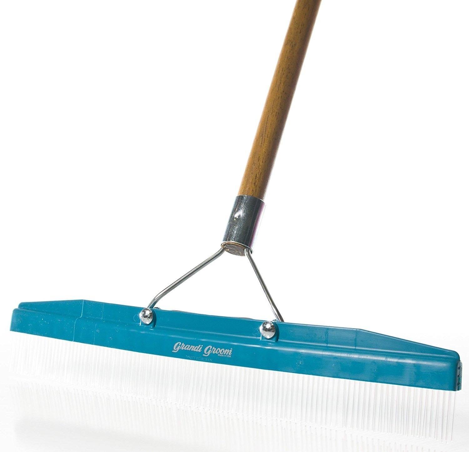 Grandi Groom AB24 Carpet Rake, 18-inch Head, 54-Inch Handle, Blue