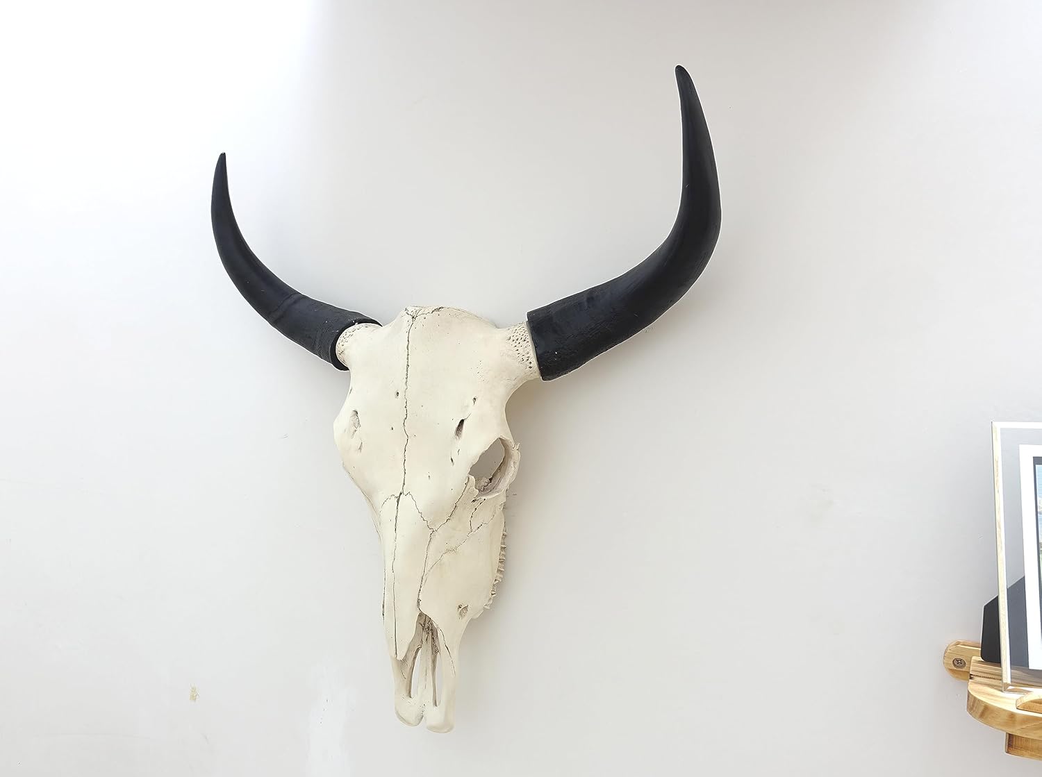 shankala Bison Bull Skull Wall Decor Cow Skull Head LongHorn Sculptures Wall Plaque Crafts Ornaments Bull Horns Decor Environmental Friendly and Resin Skull Sculpture Wall Hanging