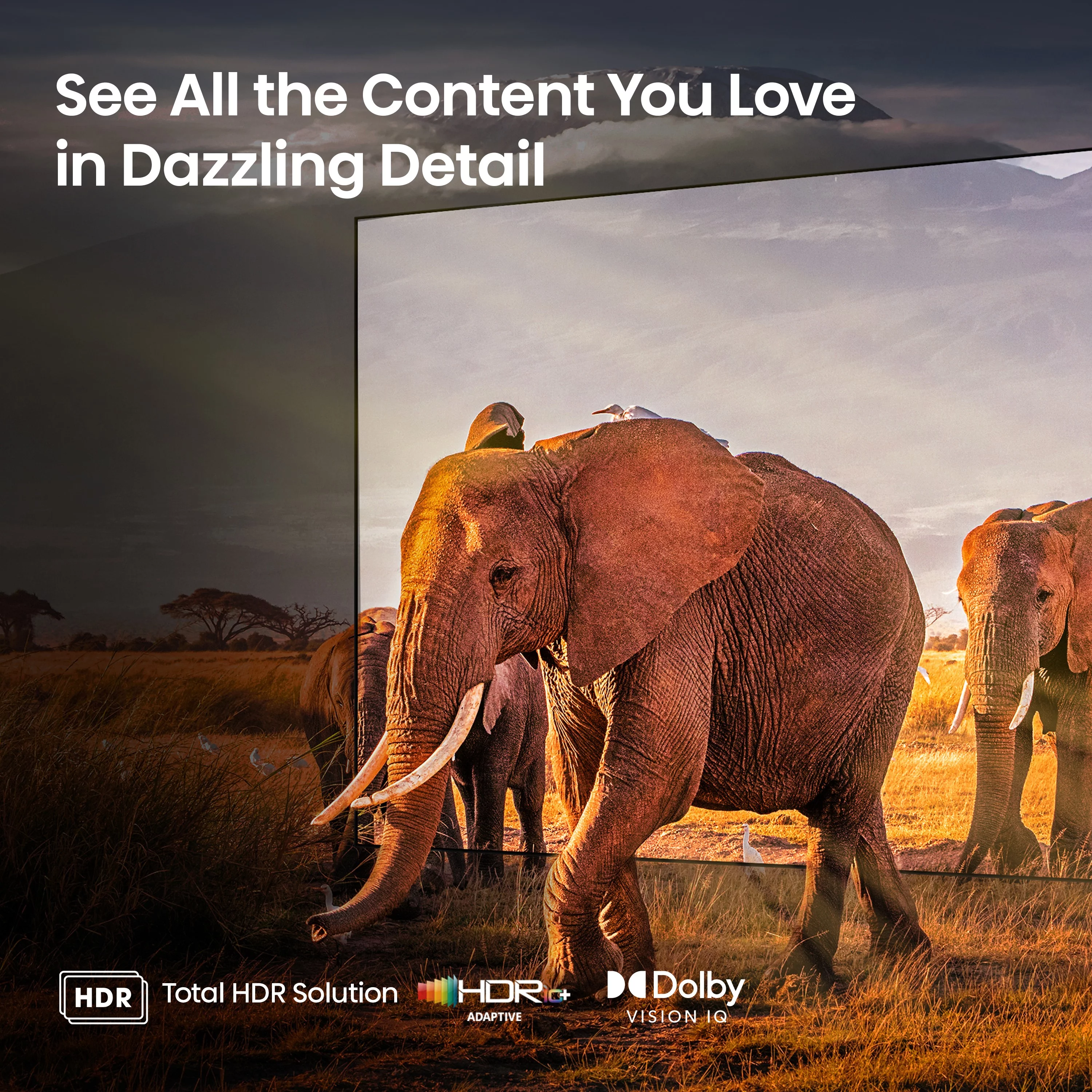 Hisense 55-Inch Class U6 Series Mini-LED QLED Google Smart TV (55U6K) - QLED, 600-Nit, Dolby Vision IQ & Dolby Atmos, Full Array Local Dimming