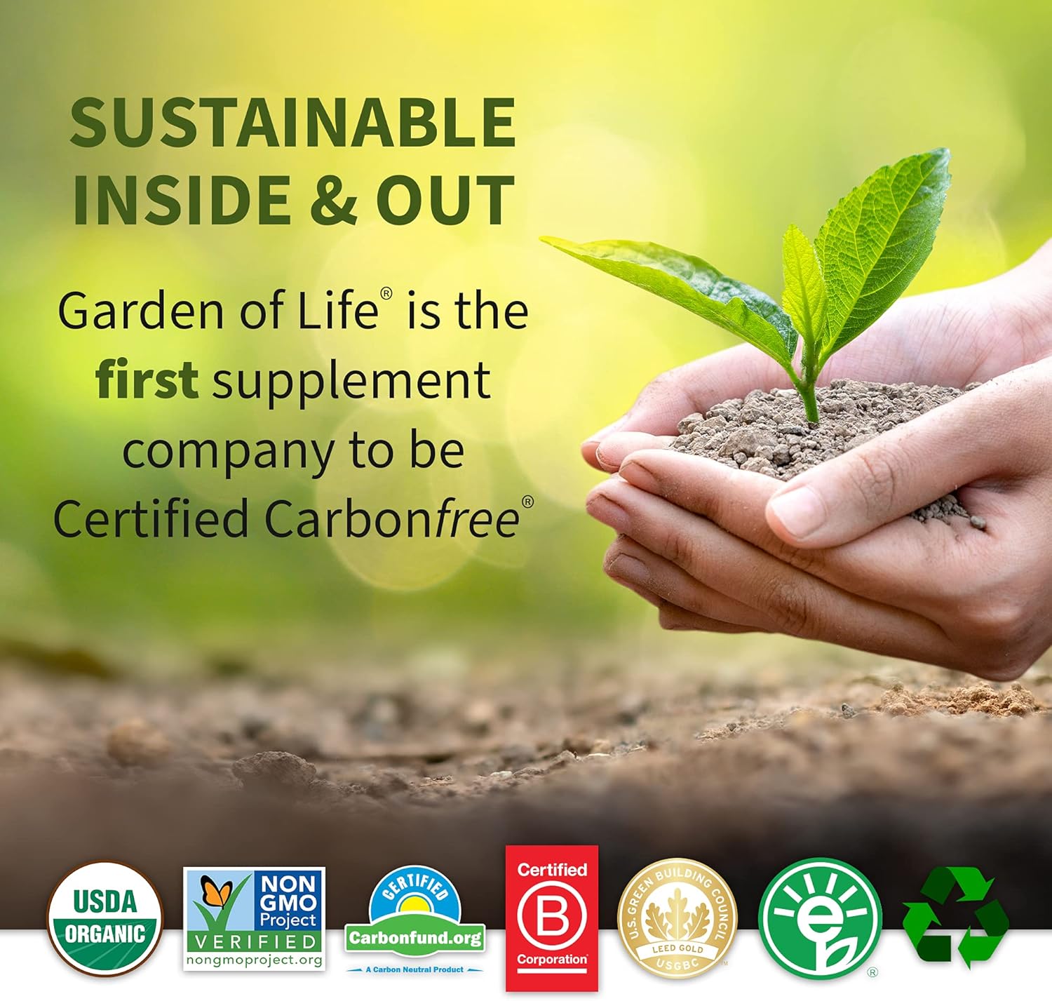 Garden of Life Meal Replacement - Organic Raw Plant Based Protein Powder, Lightly Sweet, Vegan, Gluten-Free, 36.6oz (2lb 5oz/1,038g) Powder Pack of 2