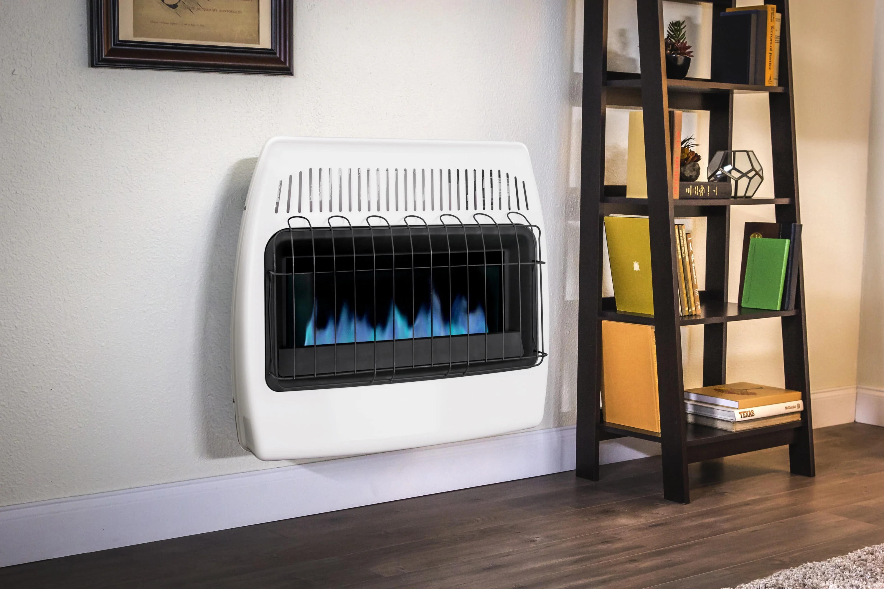 Dyna-Glo 30,000 BTU Natural Gas Blue Flame Vent Free Wall Heater