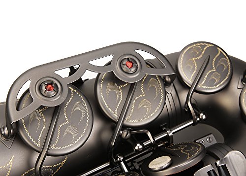 Glory Black Laquer E Flat Alto Saxophone with 11reeds,8 Pads cushions,case,carekit