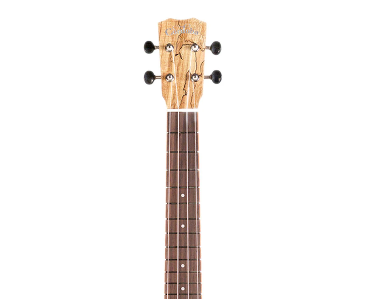 Cordoba 24T Ukulele Tenor