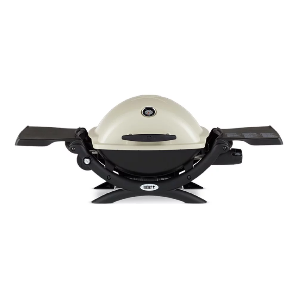Weber Q 2200 Gas Grill - Liquid Propane (Titanium) with Adapter Hose