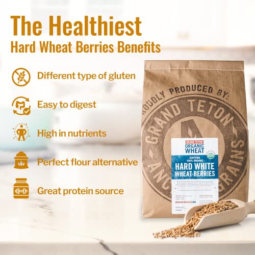 Grand Teton - 100% Organic Hard White Wheat Berries | US-Grown Wheat Berries Bulk | Packaged in 6 Gallon HDPE Pail for Long-Term Storage | 100% Desiccant Free | Certified 100% USDA Organic - 43 lbs